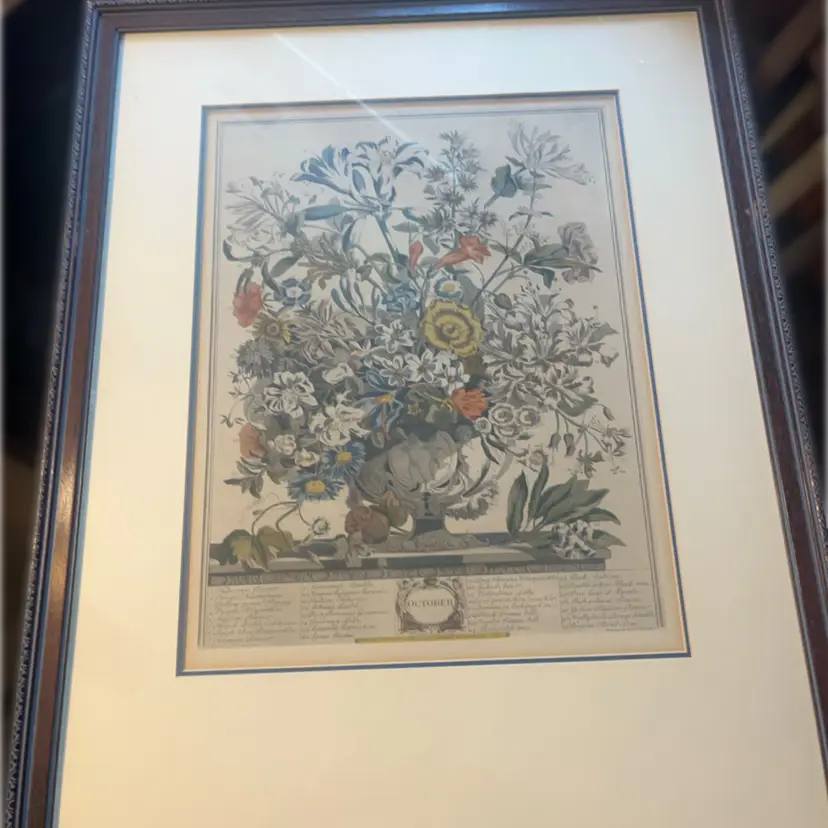 Framed hand-colored botanical engraving from Robert Furber's "Twelve Months of Flowers" series.-October 26x20.5”