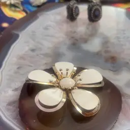 #97 - Sunday with the Peacock!!