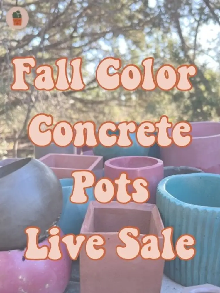 Fall Colors Concrete Pottery