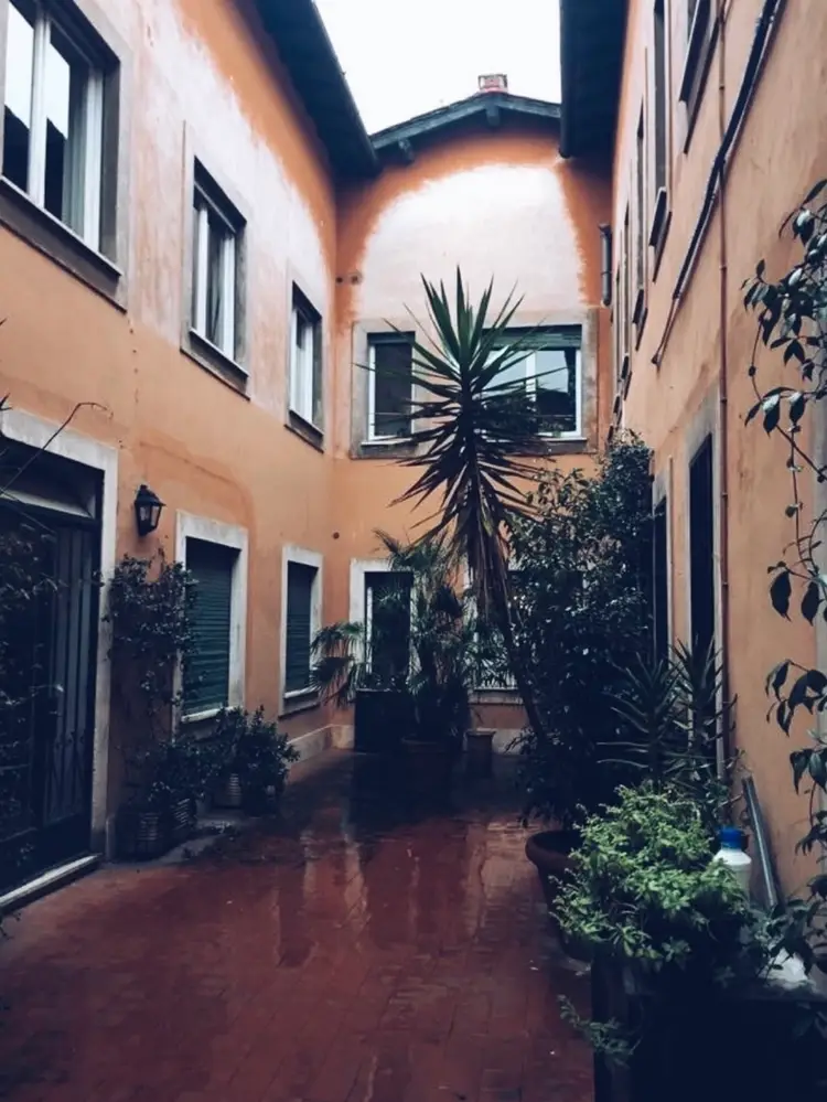 🚨Plant Sale! 🚨