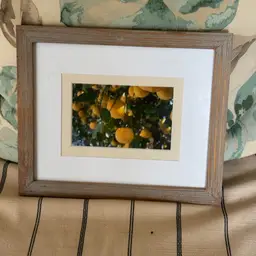 Framed Lemon Tree Print
