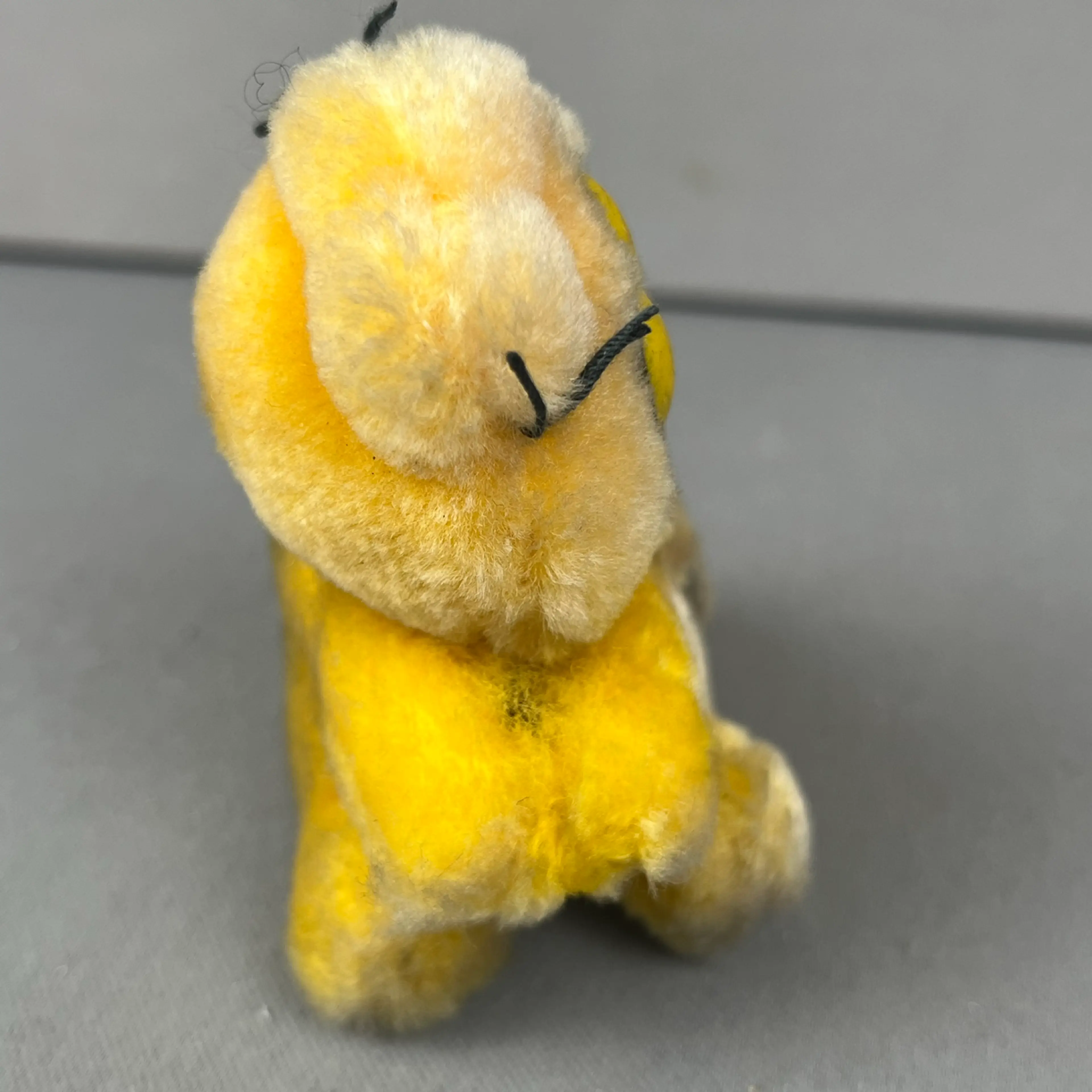 Image 4 of 8