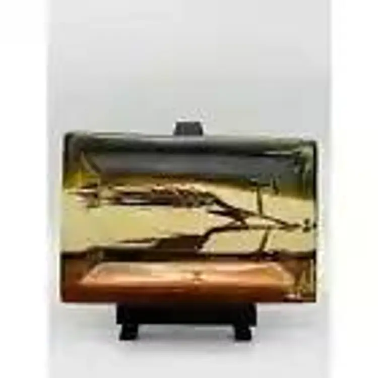 Studio Art Pottery Platter Dish in Beautiful Earth Tones with Pressed Wheat