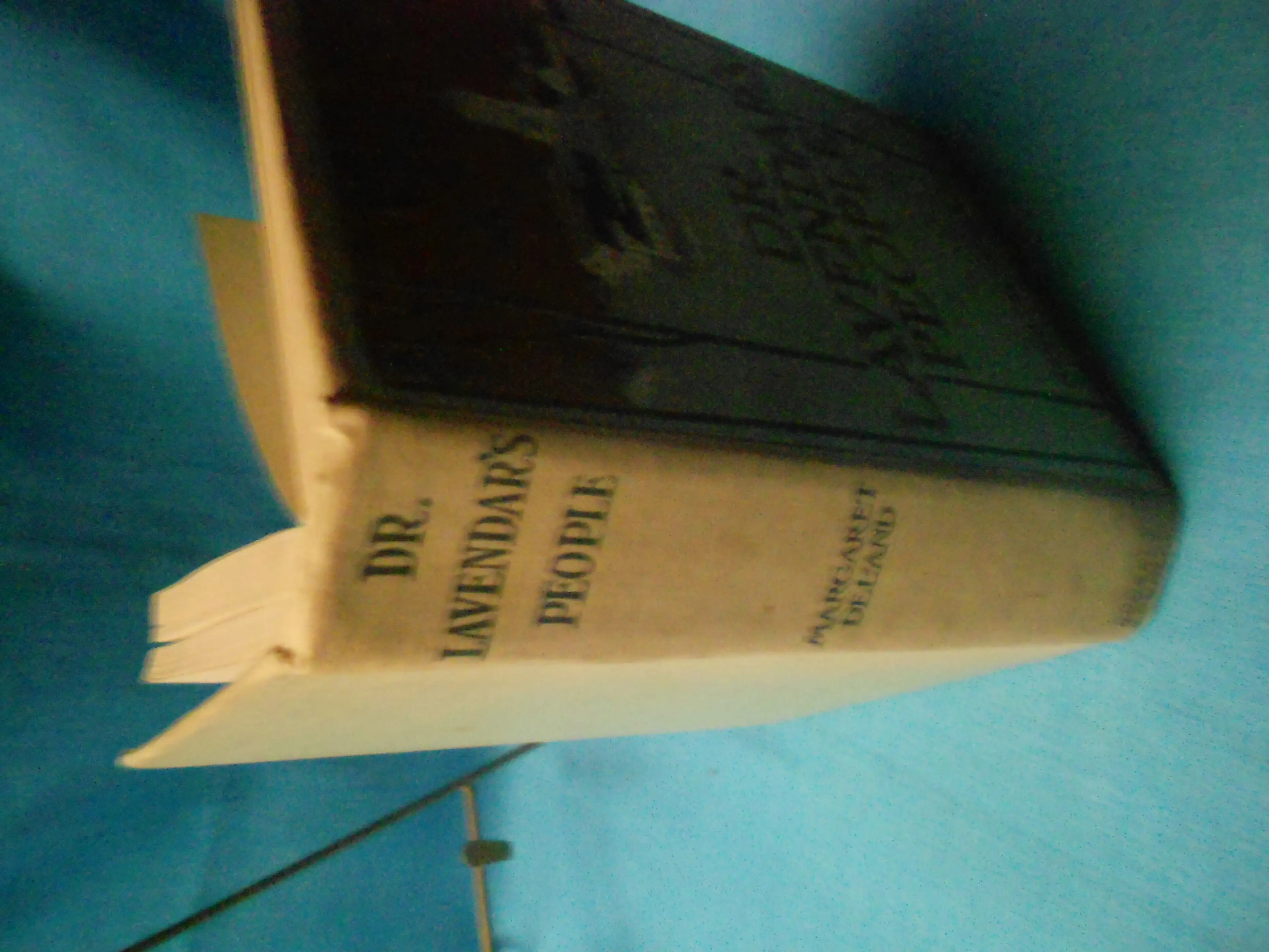 Image 4 of 14