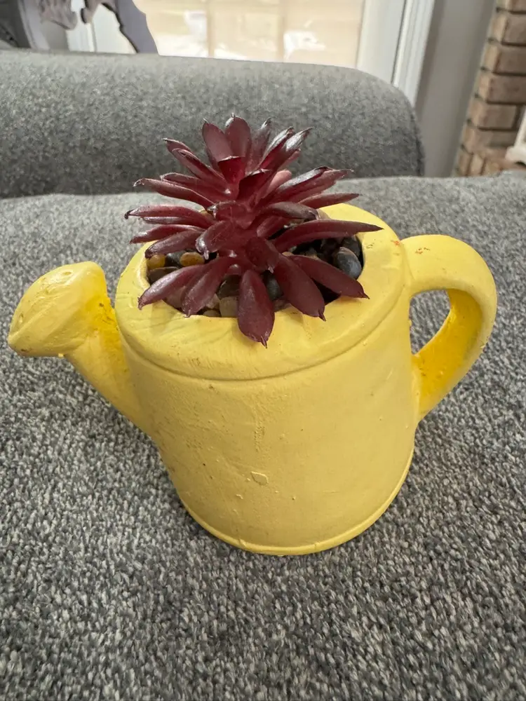 1 Yellow Resin Tiny Watering Can With Cactus