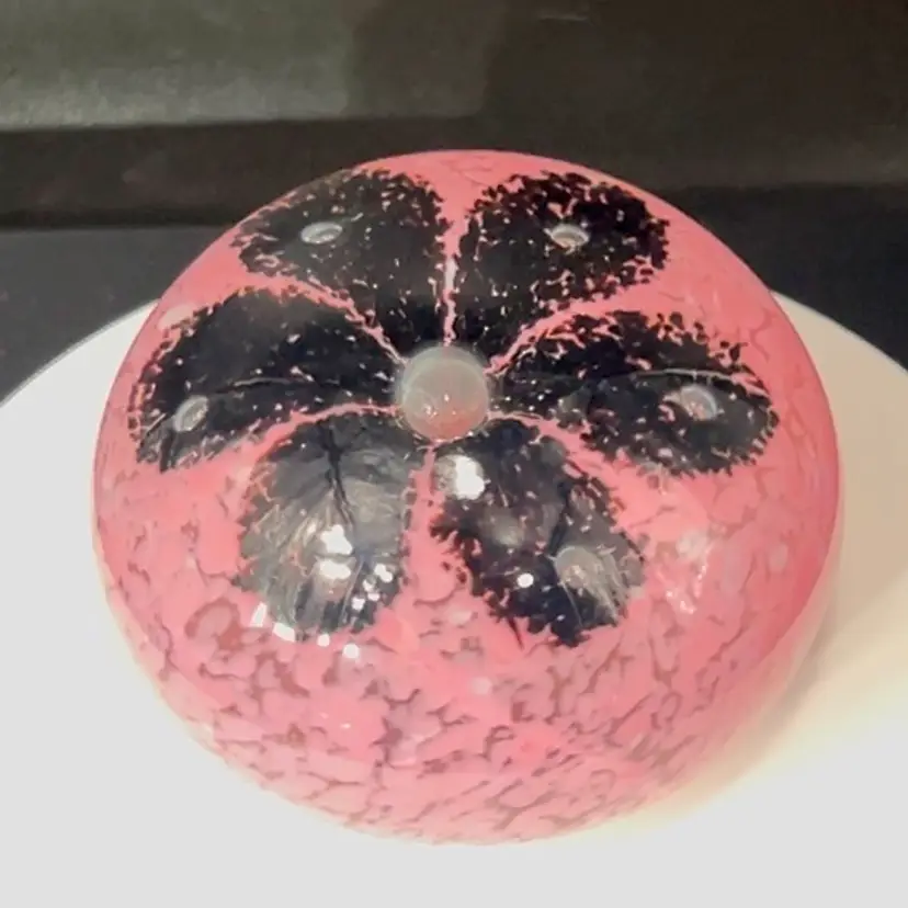 Paperweight Pink White Splatter With 6 petal Black Flower Single Large Bubble Center Smooth Bottom