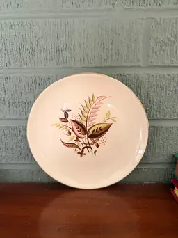Vintage Taylor Smith & Taylor TST248 Bread Plate | Mid Century Floral Dinnerware | Atomic Era Brown & Green Design
