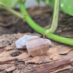 Topaz from Utah ~ Mineral Specimen