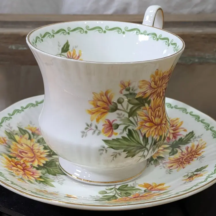 VTG Rosina Queen’s Fine Bone China Tea Cup & Saucer  Chrysanthem Special Flowers