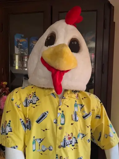 Clothing , Shoes & More Follow 