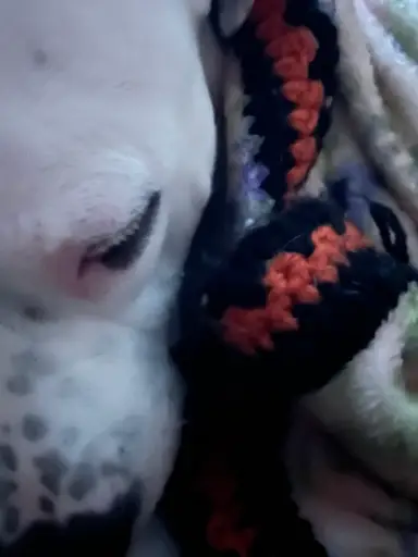 Cohost They Out With Adored Vintage