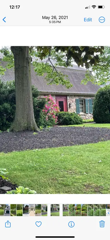 oma’s_and_opa’s_haus