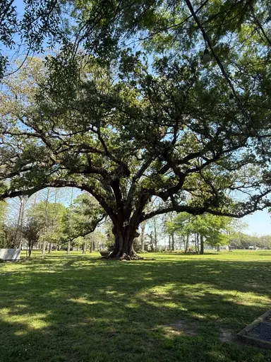 Estate Sale Of My Dreams!!
