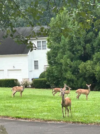 Rise And Shine Jewelry Playtime With Adored 