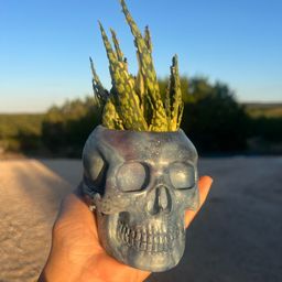 3.75” Galaxy Skull Concrete Planter