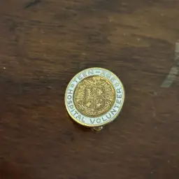 Teen-Age Hospital Volunteer - American Hospital Association - Vintage Lapel Pin