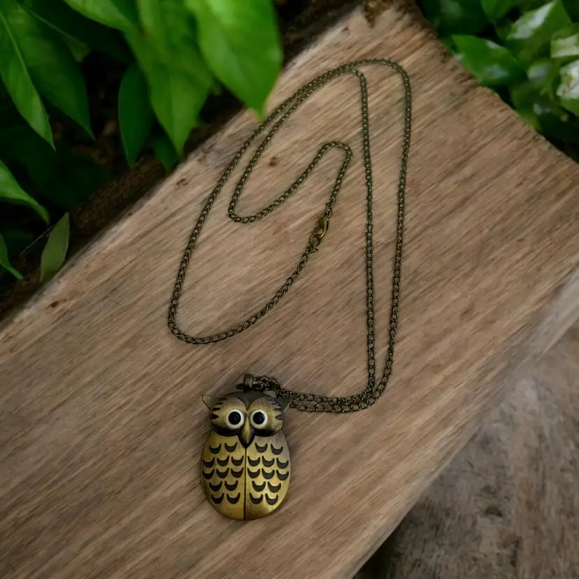 Bronze Owl Locket Pendant Timepiece Watch Necklace Chain 16"