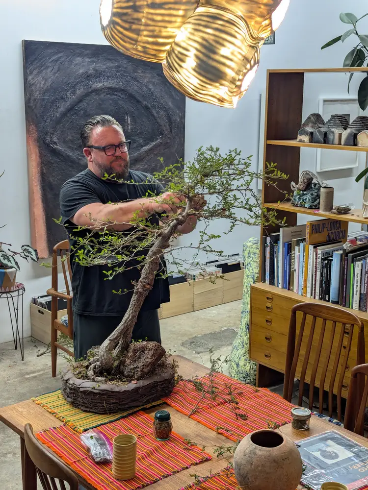 Grow Nursery Introductory Sale