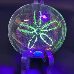 Green Glow Pink   Sand Dollar Paper Weight