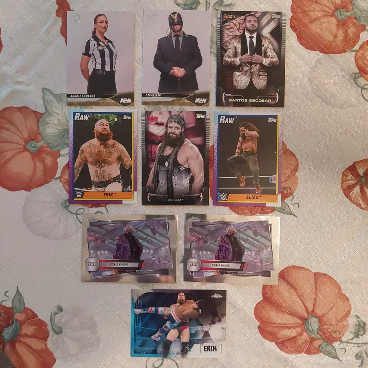 Lot of 11 wrestling cards. Letter E. 2 inserts.