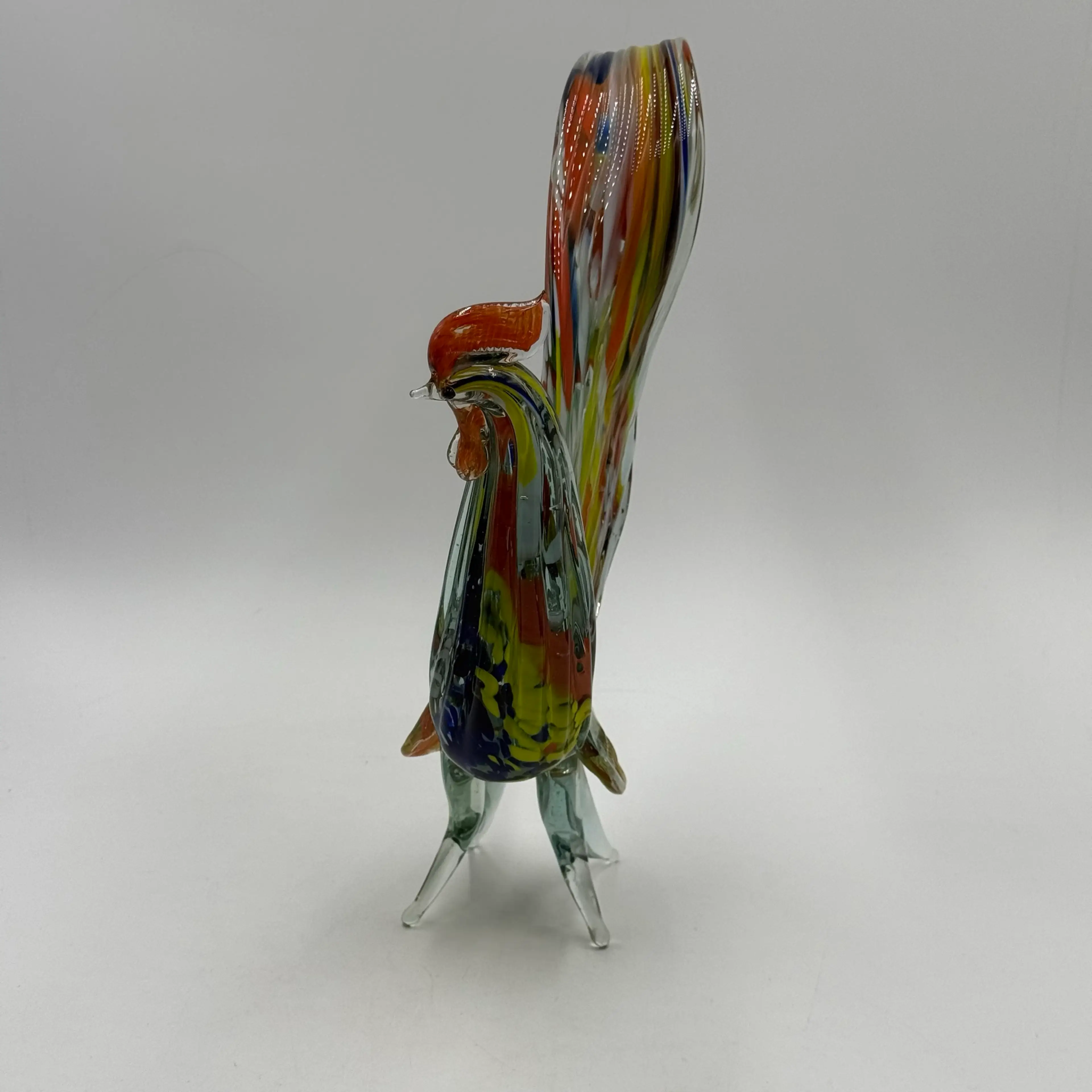 Image 5 of 19