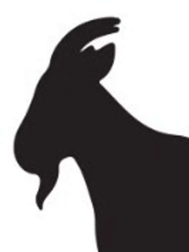 Go To Mentality Bible Study