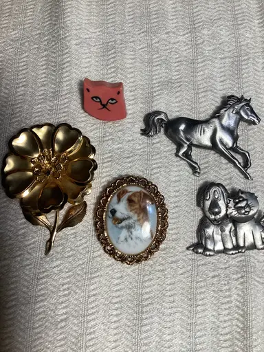 Come Hang Out And Look At Brooches With Me