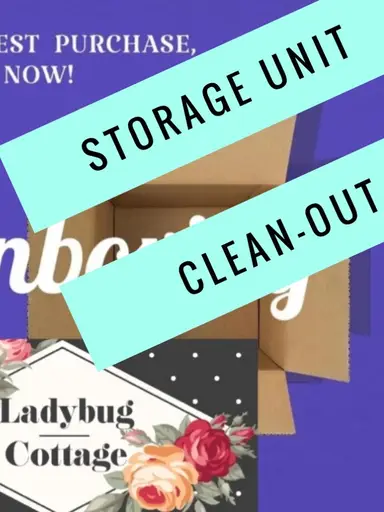 STORAGE UNIT CLEAN-OUT (Part 2)