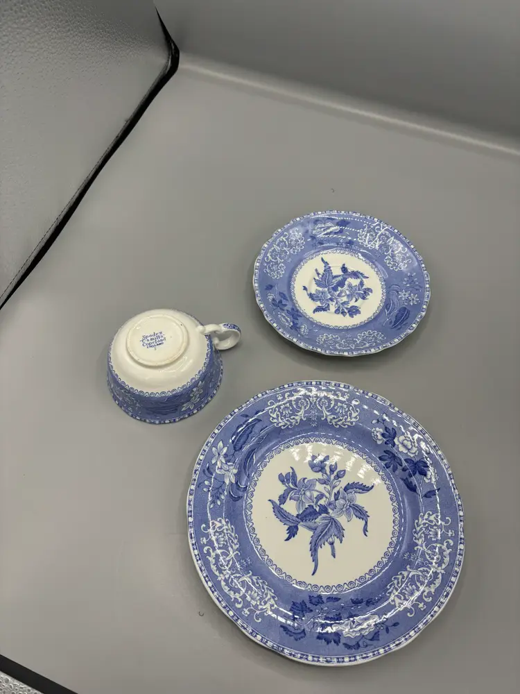 Vintage Spode Copeland Canilla