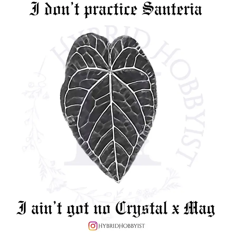 Sticker: Anthurium Crystal x Mag