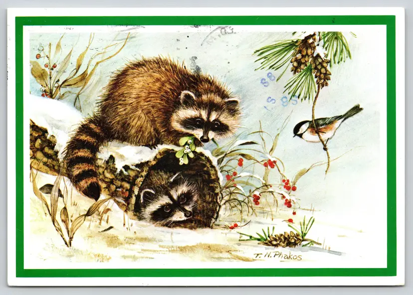 Postcard Season's Greetings Raccoons by T Nick Phakos Holiday Winter Scene - 14506