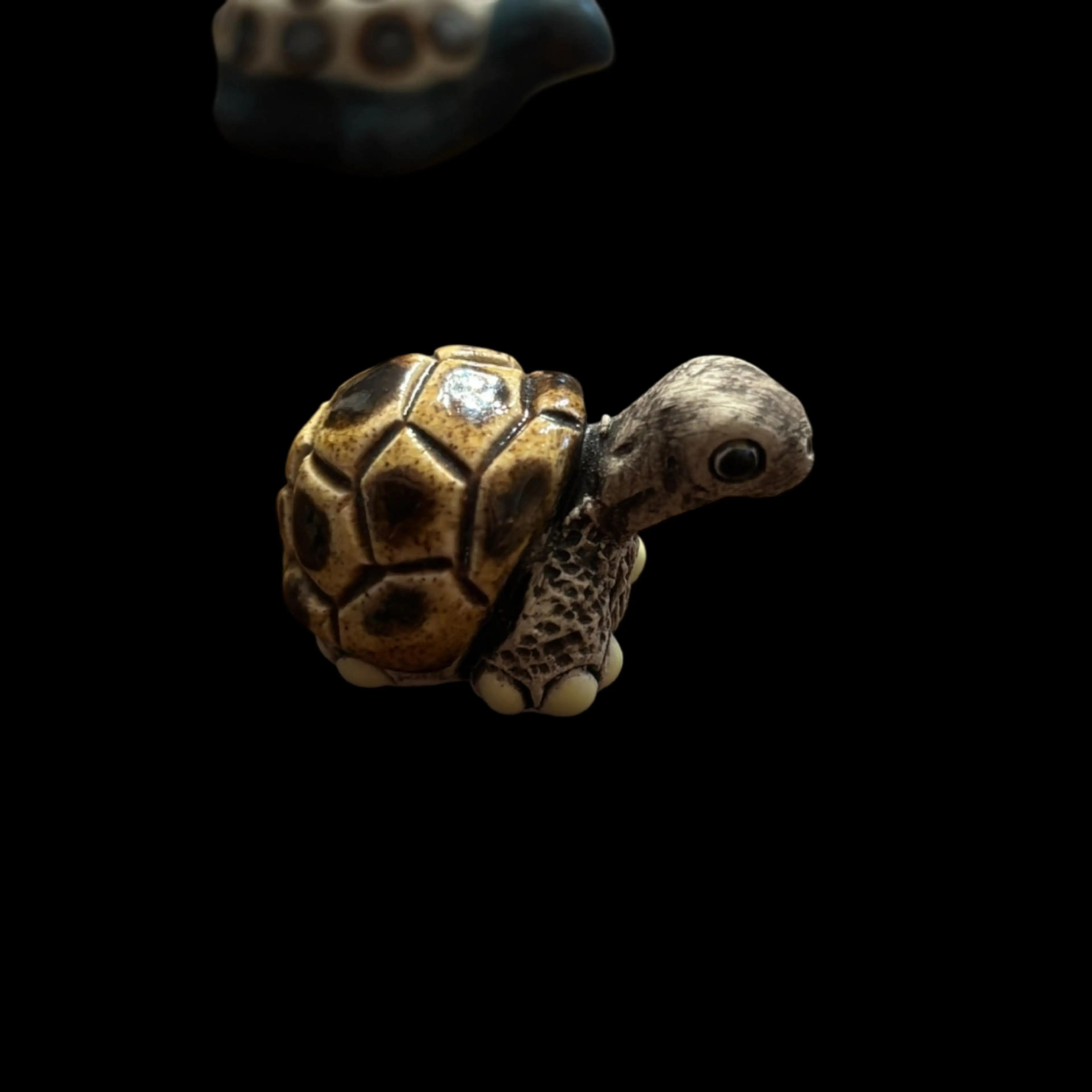 Image 3 of 5
