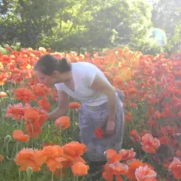 Born in the Wrong Century