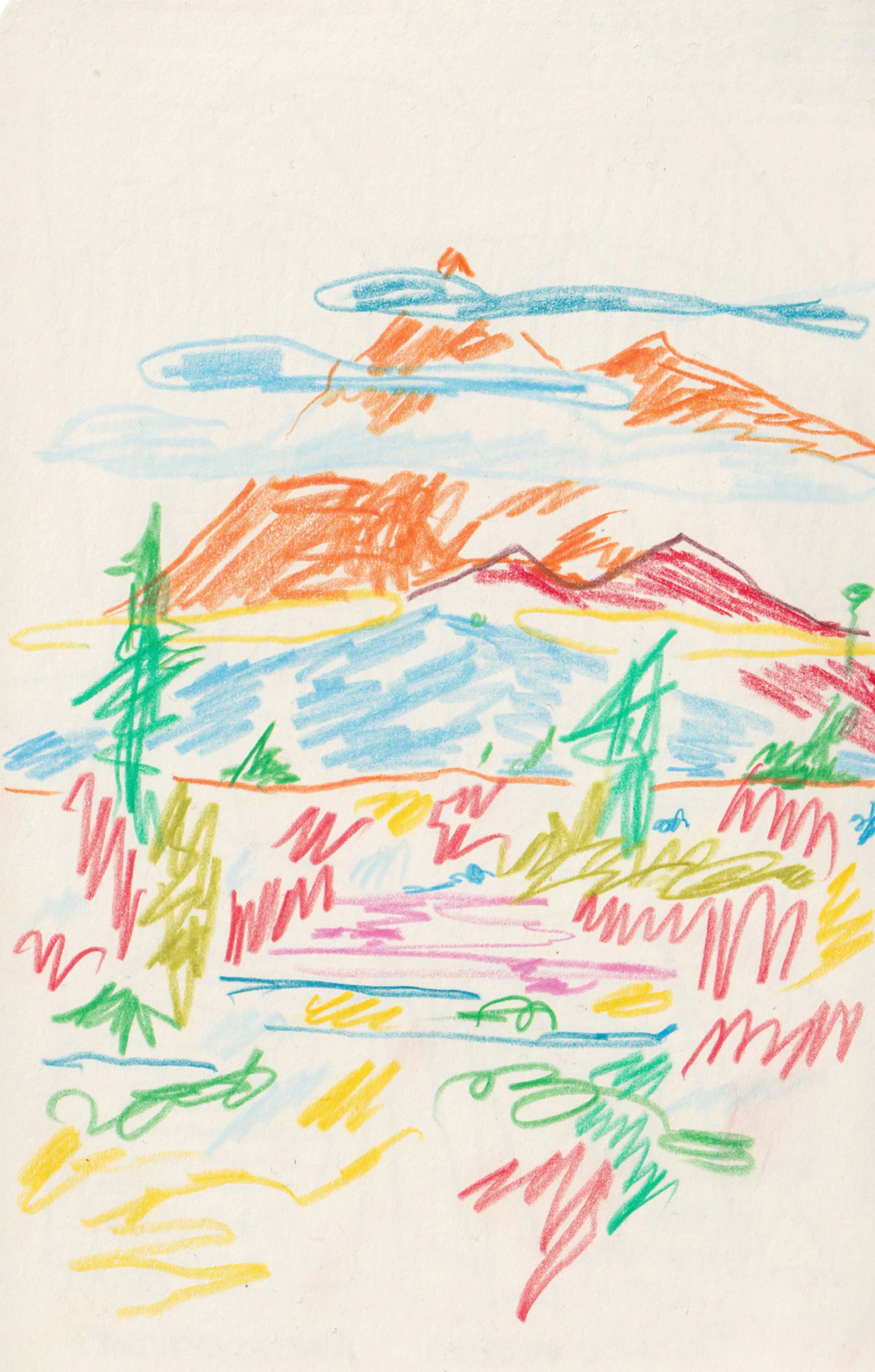 Northern Lights Landscape