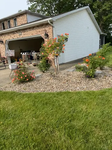 Live From My Rose Garden! JEWELRY 💖💖💖