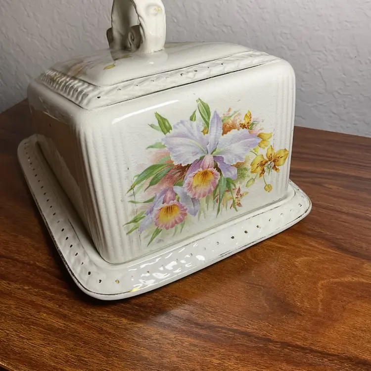 Porcelain Cheese Covered Dish Plate