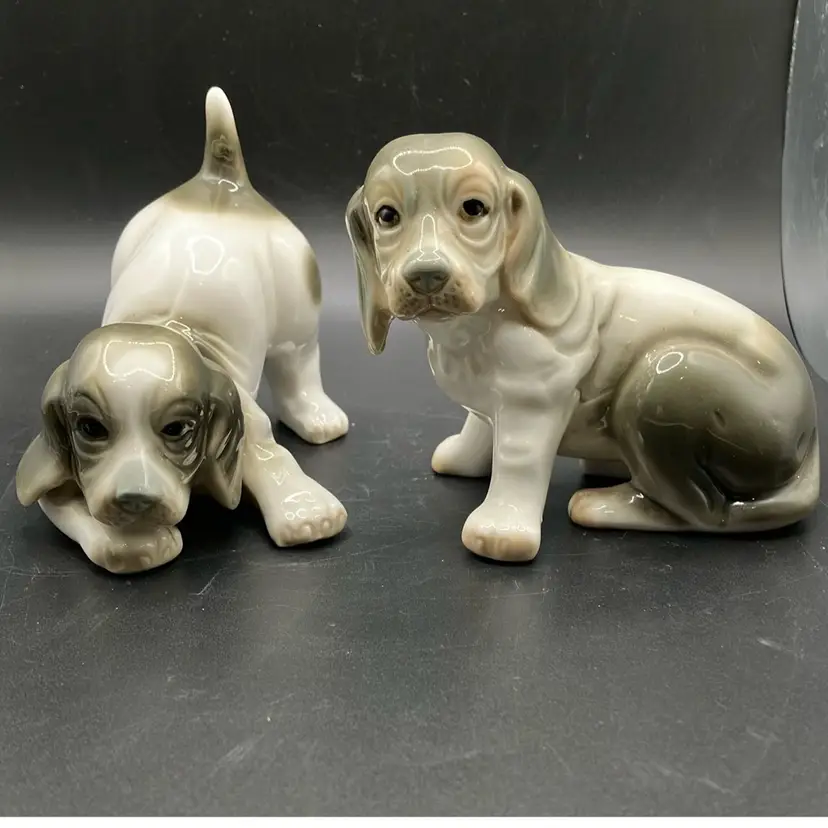 Pair of Pups - Taiwan