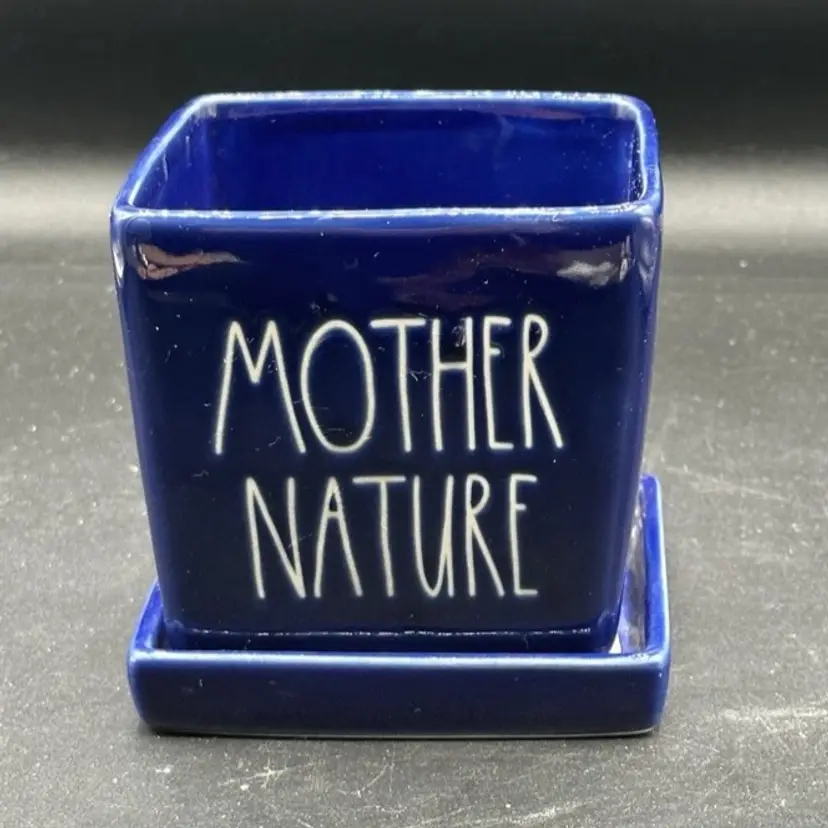 Rae Dunn By Magenta Cobalt Royal Blue Mother Nature 6” Planter