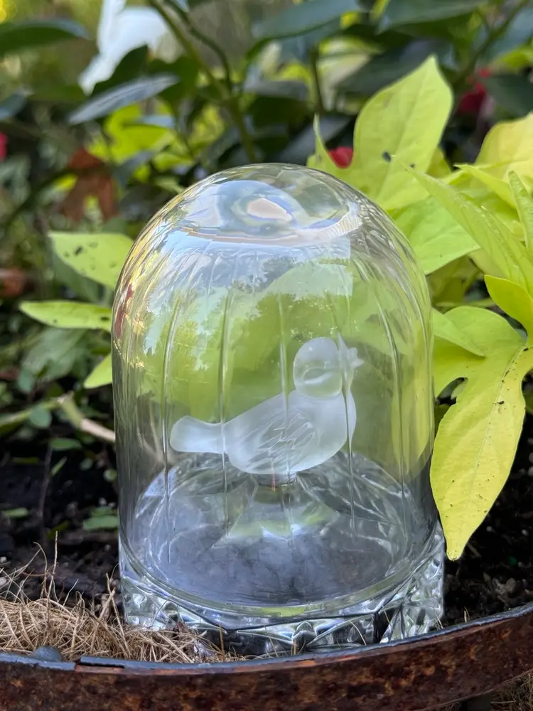 Vintage German Glass Domed Bird Figurine 