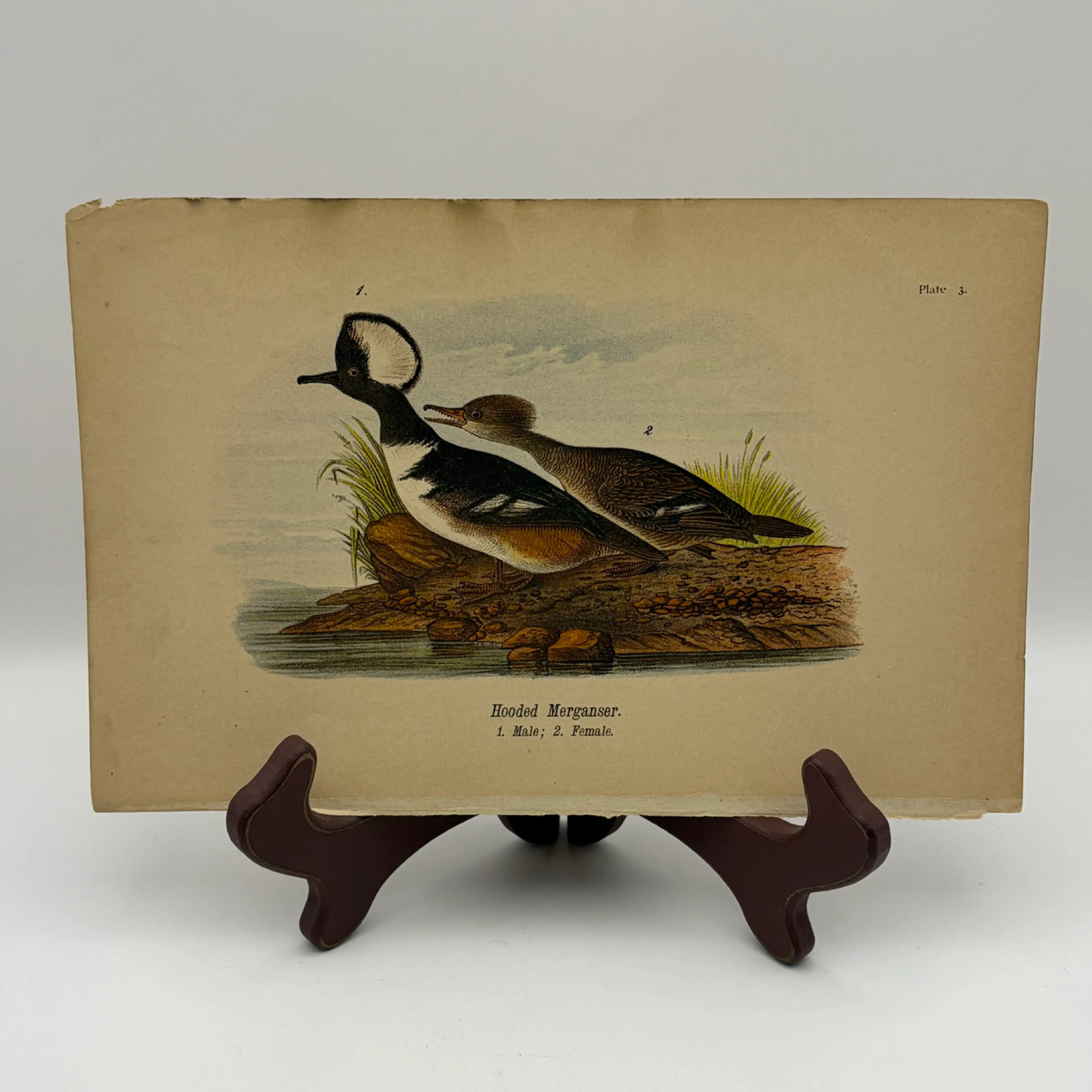 Image 1 of 9