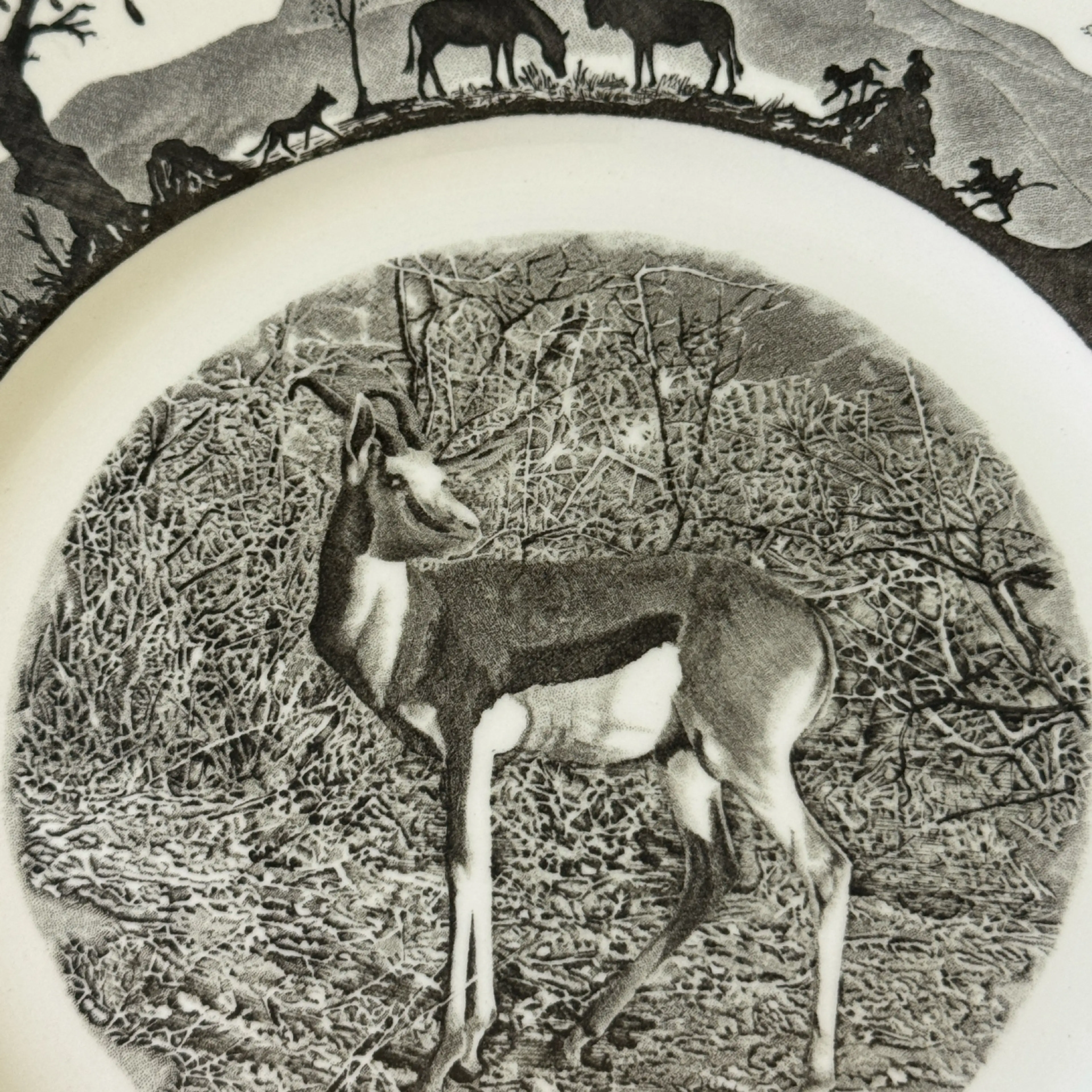 Image 2 of 6