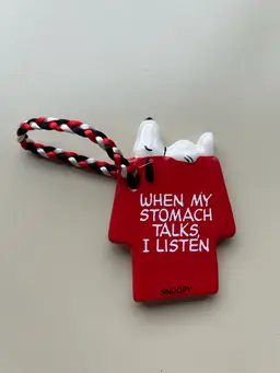 Set of 4 Snoopy hanging Xmas ornaments.