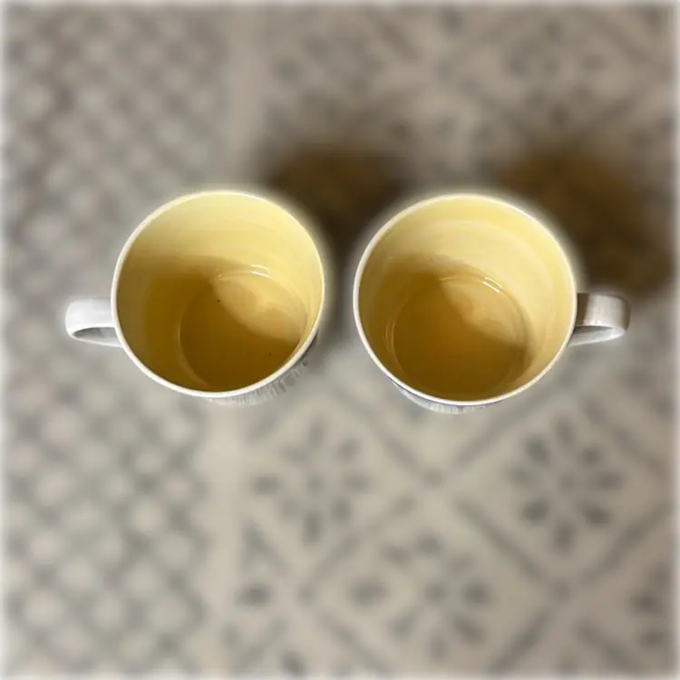 Pair of Gibson Mugs - Yellow Interior and Blue & White Exterior