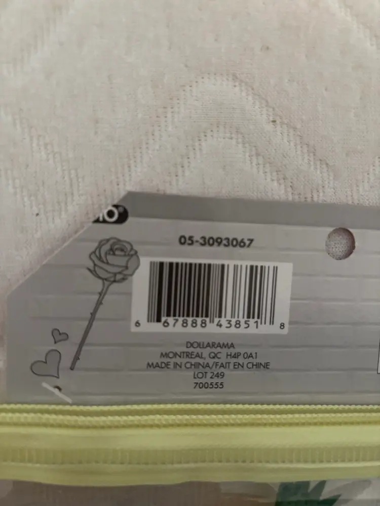 STUDIO CLEAR PINEAPPLE KIDS PENCIL CASE