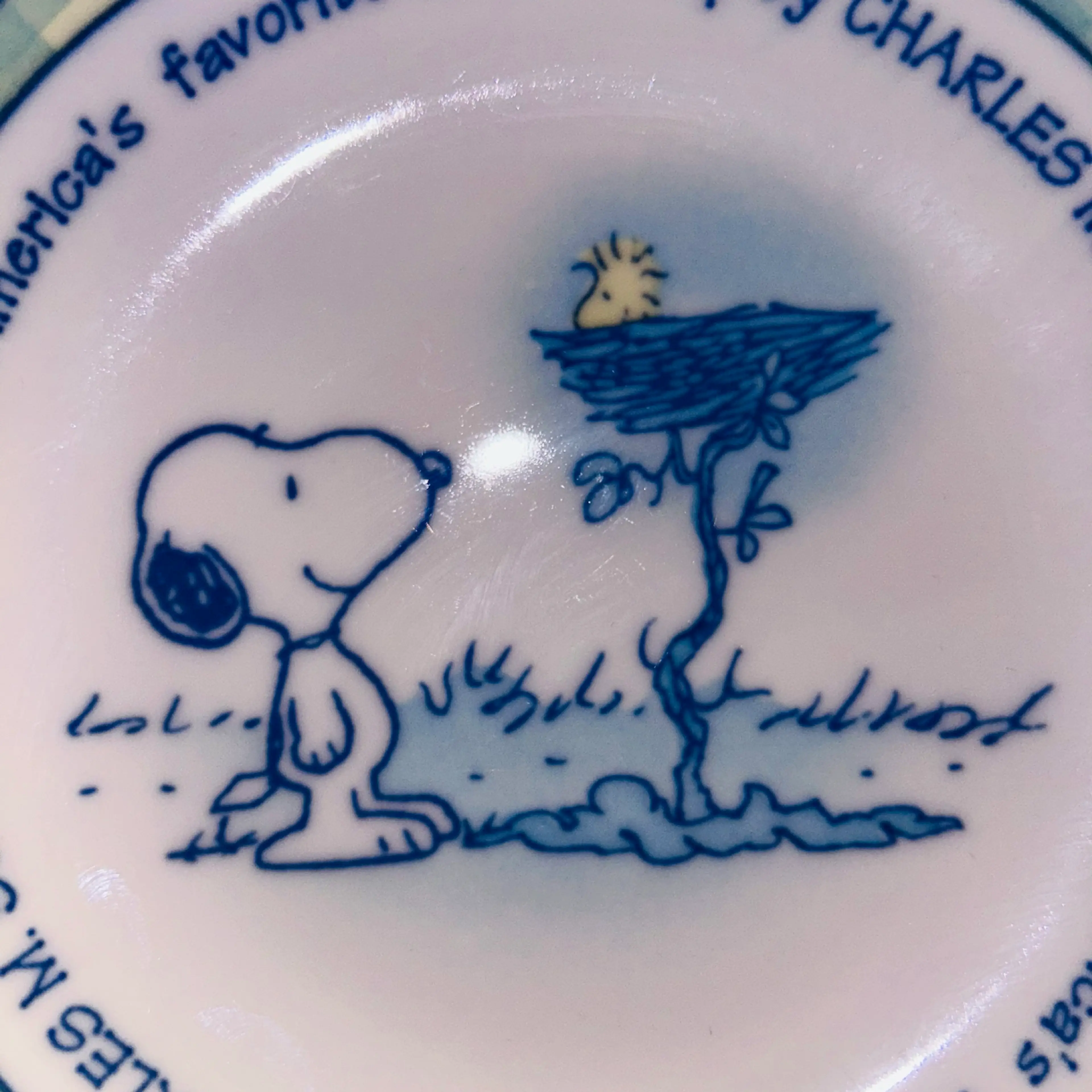 Image 5 of 6
