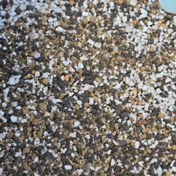 LARGE BAG Pinguicula Media Mix NEW FORMULA