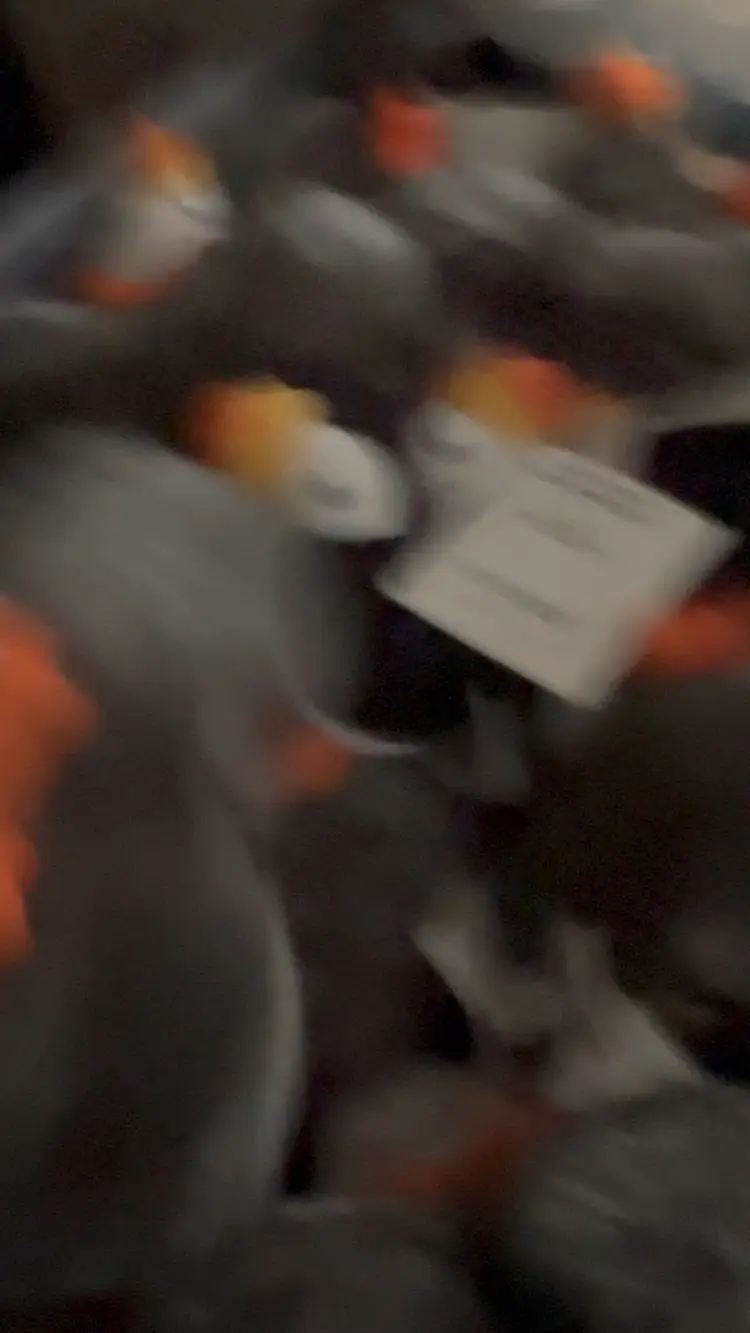 Lot of 54 nwt Puffin plush vintage