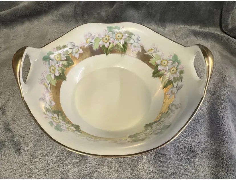 VTG Tirschenreuth Bavaria Germany Hand Painted Porcelain Serving Bowl Dish Gold