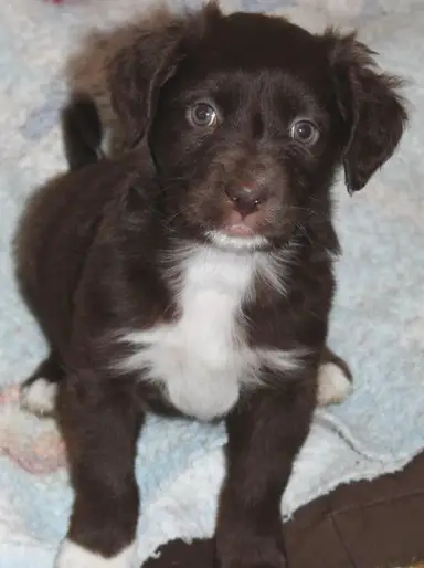 Addison’s 11th B-Day Party!