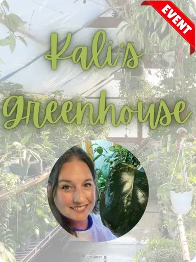 Vine & Cipher Trail: Hoya Sale ❤️